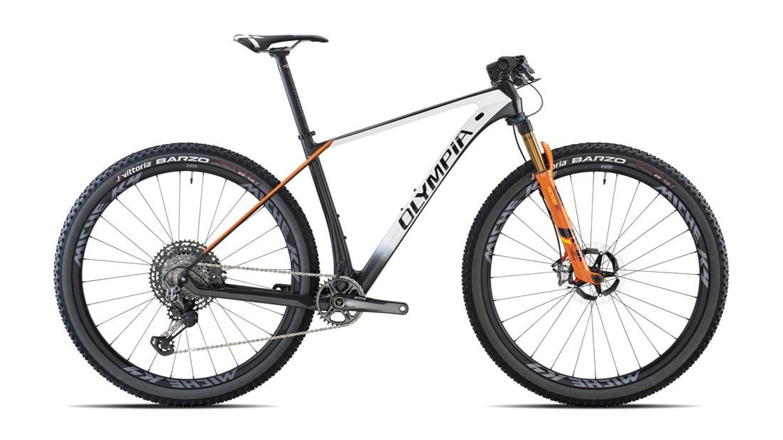 Olympia F1 Pro Carbonio Rock Shox SID SL Select RL